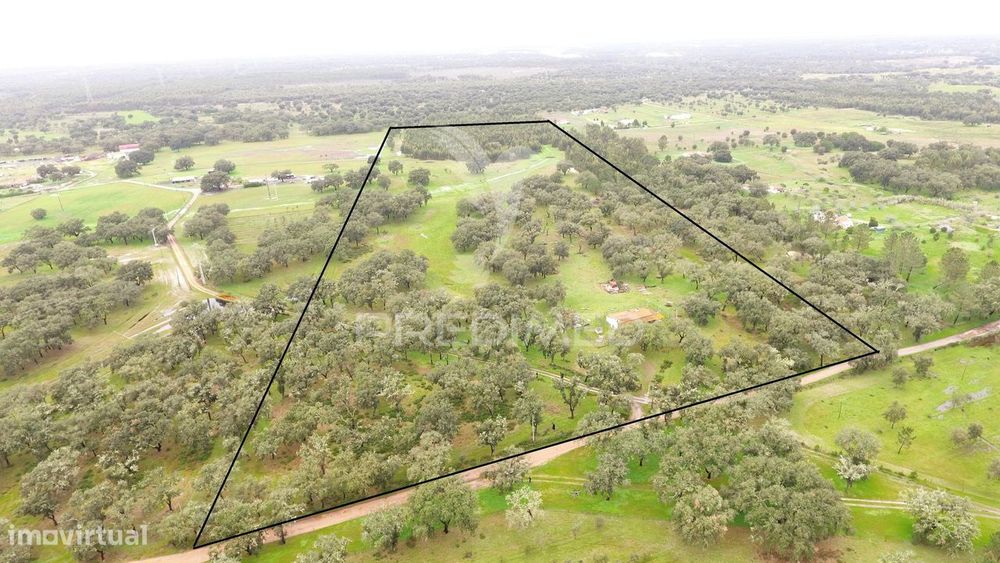 Monte Alentejano com 12 hectares junto á Barragem de Fonte de Cerne