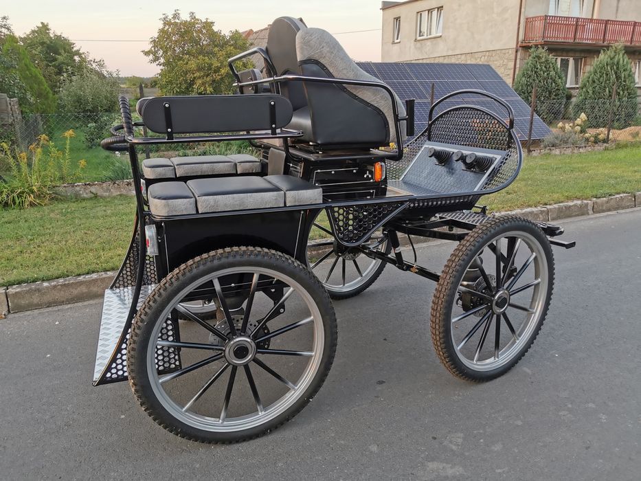 Bryczka maraton trening