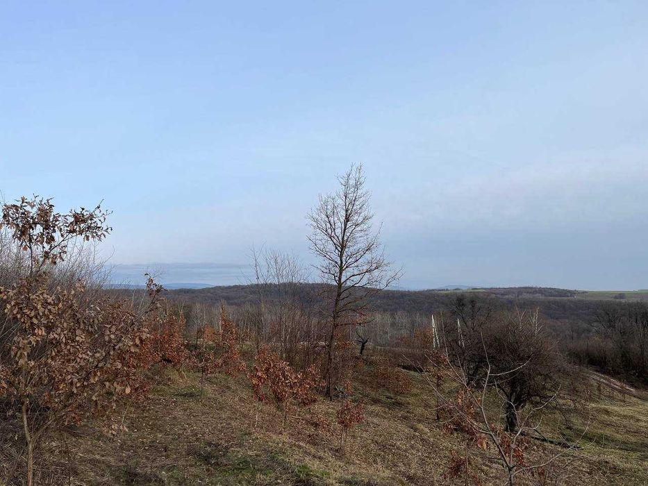 Продається земельна ділянка, смт Середнє Код: 43367