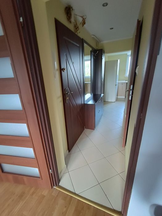 Mieszkanie – Biała Podlaska, Osiedle Jagiellońskie - Widok 5