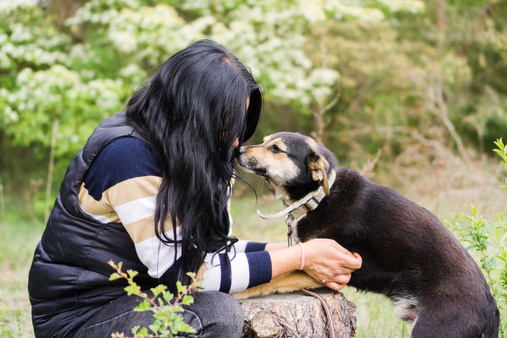 3 letni Miki szuka domu!