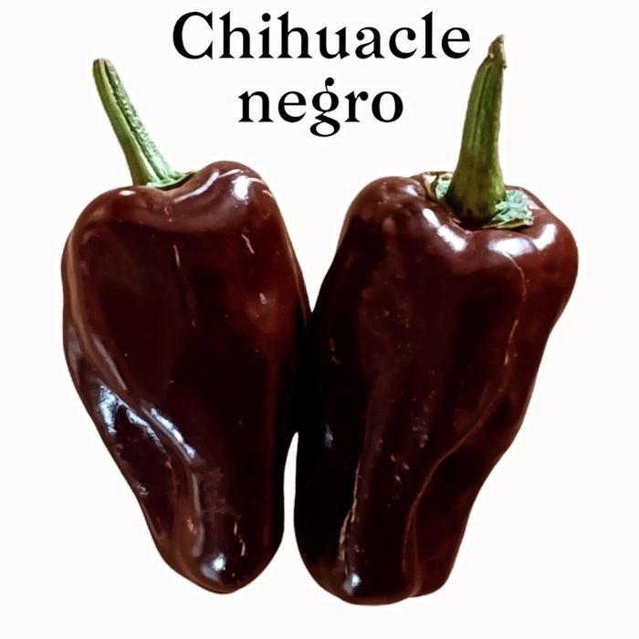 Vendo sementes de malaguetas/ pimentas raras de muitas variedades