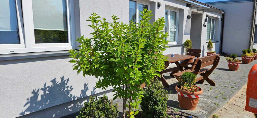 Pokoje gościnne/noclegi Suntago