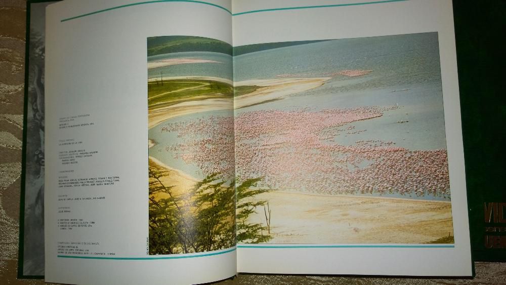 5 livros cronicas' A Aventura Da Vida' Felix Rodrigues La Fuente