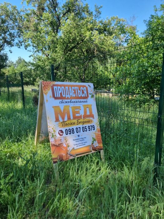 Мед з  чистоі акации