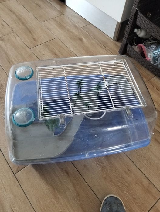 Vendo aquário para tartarugas desmontável