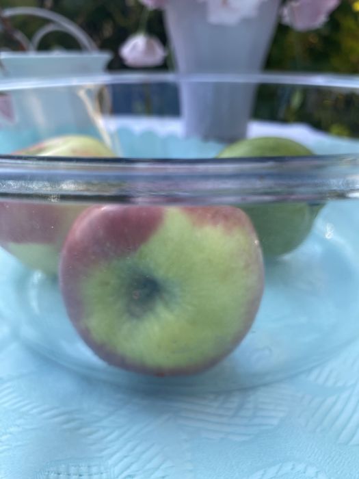 Dwa naczynia żaroodporne za 30zl