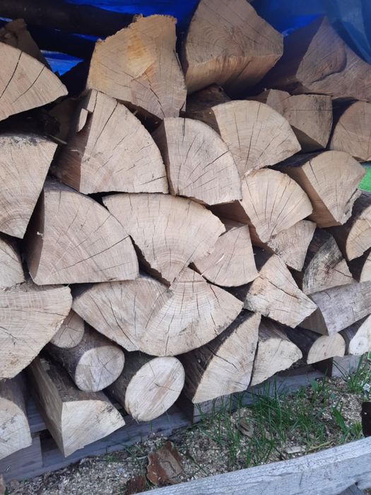 Drewno opałowe (kominkowe lub w wałkach)