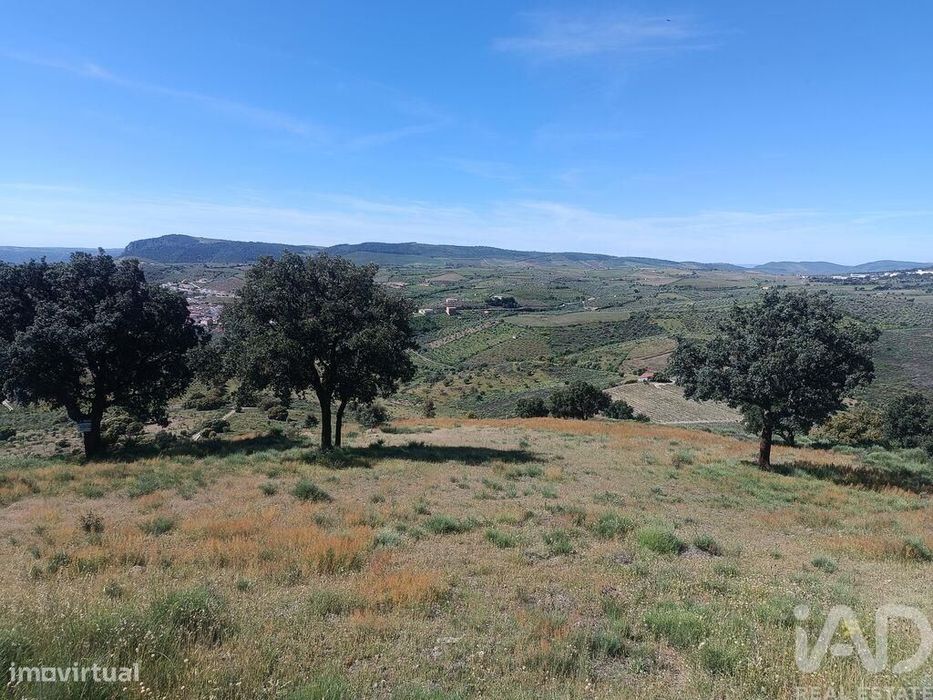 Terreno em Freixo de Espada à Cinta e Mazouco de 49572,00 m2