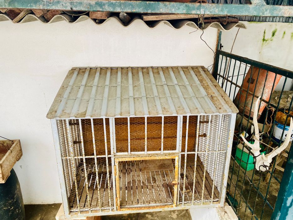 Gaiola para pássaros ou coelhos