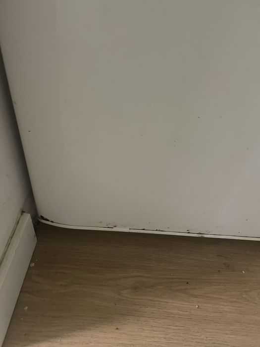 Frigorifico combinado Fagor