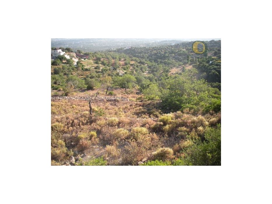 Terreno com vista mar