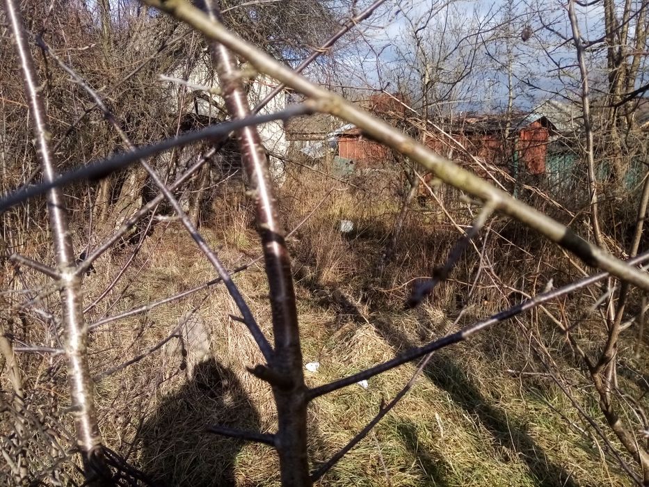 Продається малий будинок