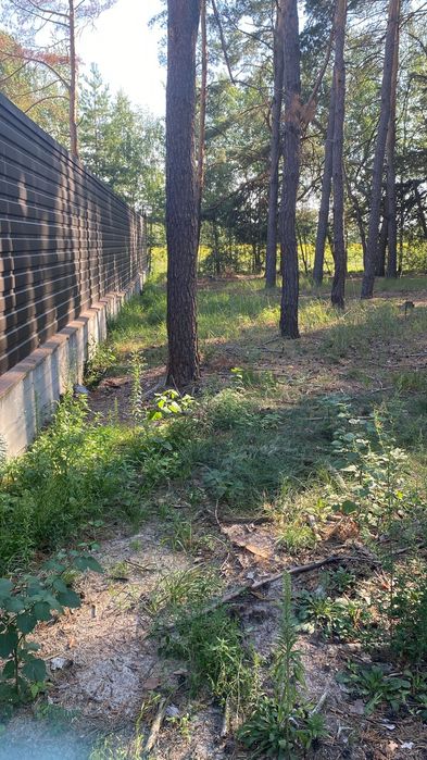 1 Земельна ділянка з ЛІСОМ в с. Мархалевка під  житлову забудову.