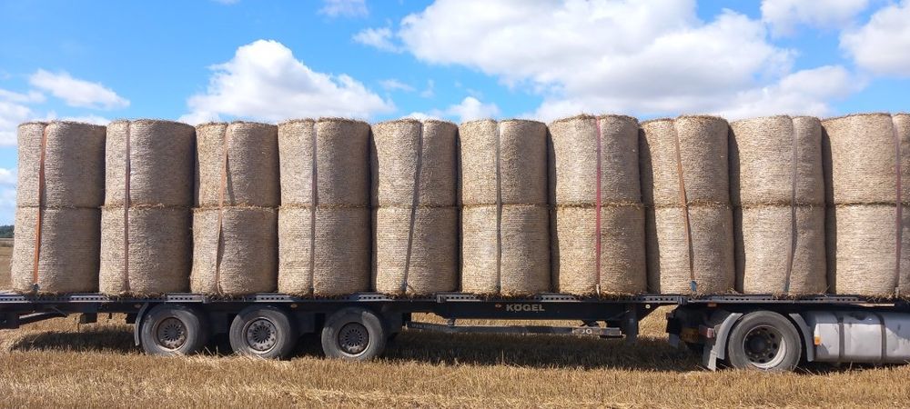 Słoma Bele z transportem pod dom