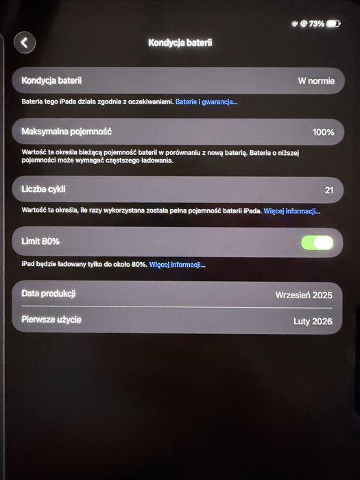 Apple ipad 13 pro