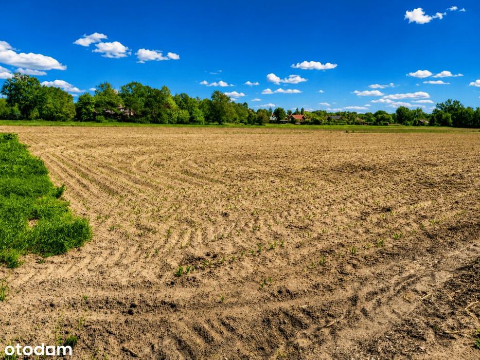 7794 m² pod inwestycję + dom - Widok 4