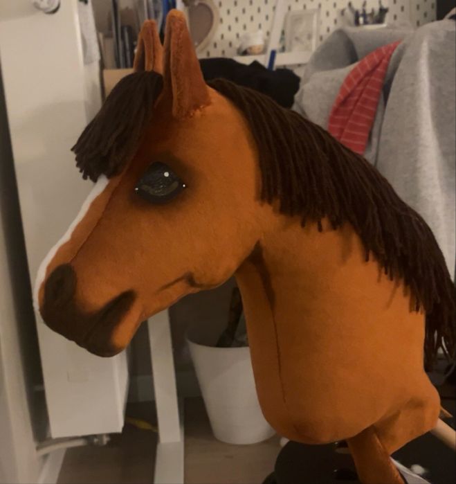 Hobby horse RSN.