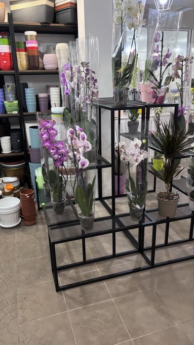 Стелаж для квітів / Підставки для квітів / Меблі для квіткового
