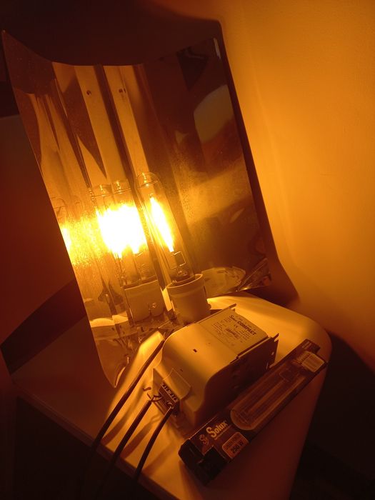 Iluminação Horticultura Solux Compact 250W – Cultivo Indoor / Estufa /