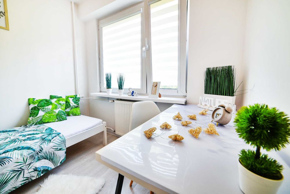 WOLNY OD ZARAZ! Super lokalizacja, blisko centrum, ul. Paganiniego 12