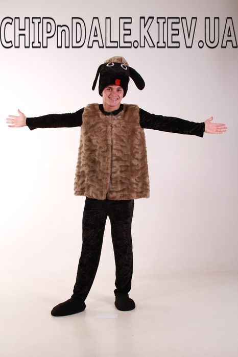 Костюми  для аніматорів