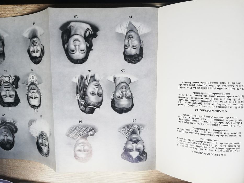 Las razas humanas MF Nesturj