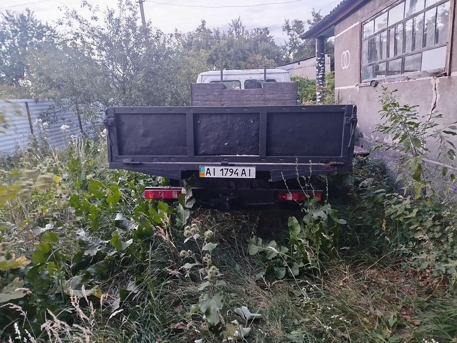 Газелька трудяга