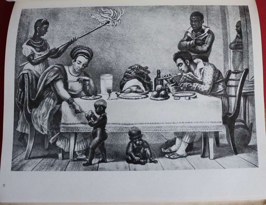 Viagem pelo Brasil 1817-1820 Spix e Martius