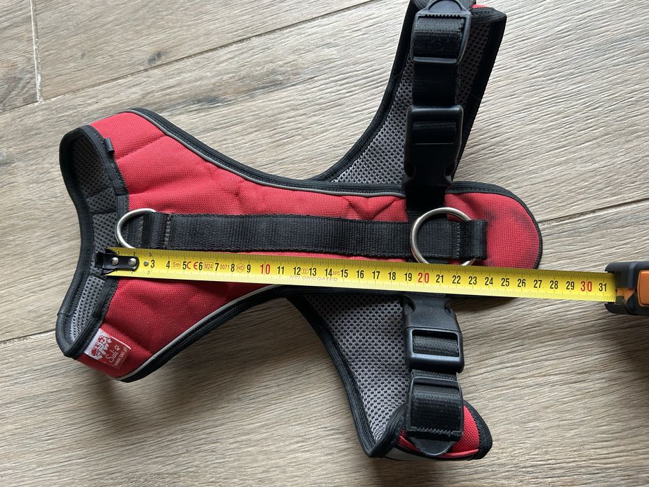 Szelki M, smycz, pas - Canicross komplet