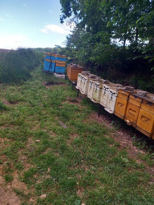 Odklady na ramce dadant