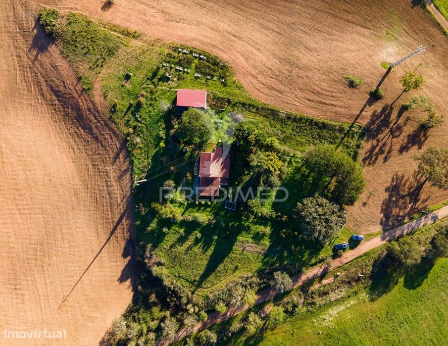 Monte Alentejano com 17ha