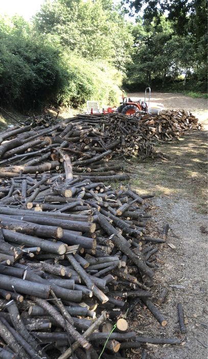 Lenha seca para venda