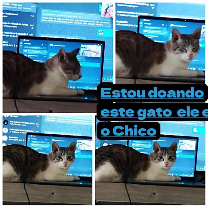 Estou doando por mutivos de sair do país