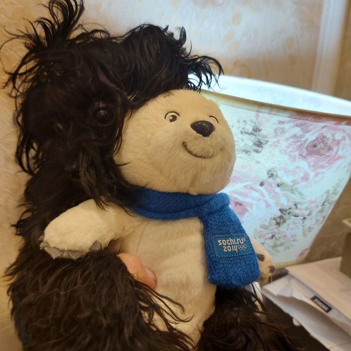 продам щенка Мальтипу