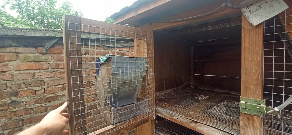 Автономна клітка для кролів на 5 відділень з поїлками та кормушками