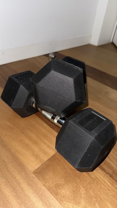 Halteres hexagonais 10kg