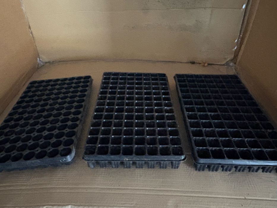 Multiplaty do ukorzeniania wielodoniczki