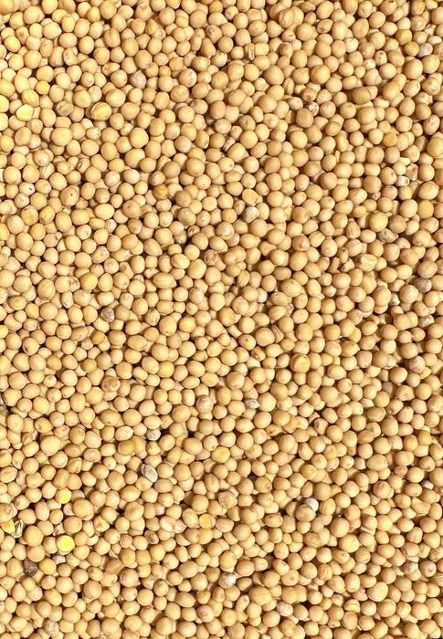 Продам просо желтое красное  овес семена льна  канарник жито росторопша рапс кориандр