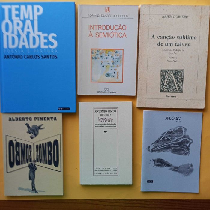 Coleção de Livros Mistos - Autores Variados - Conjunto 9