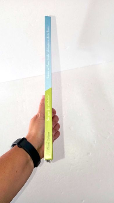 Porque fui adoptado? - Chiado Editora