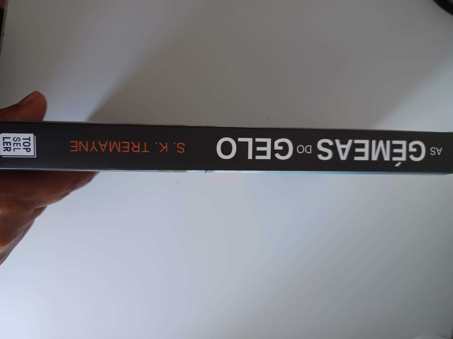 As Gémeas do Gelo - de S. K. Tremayne