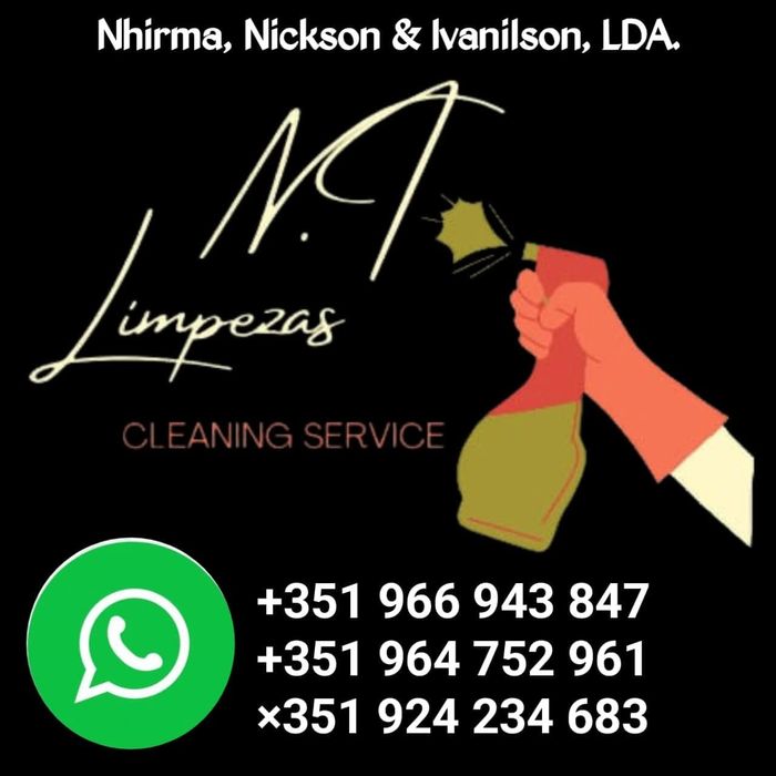 Domestic Cleaning Services