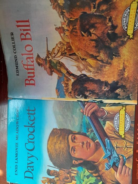 Livros  pioneiros americanos