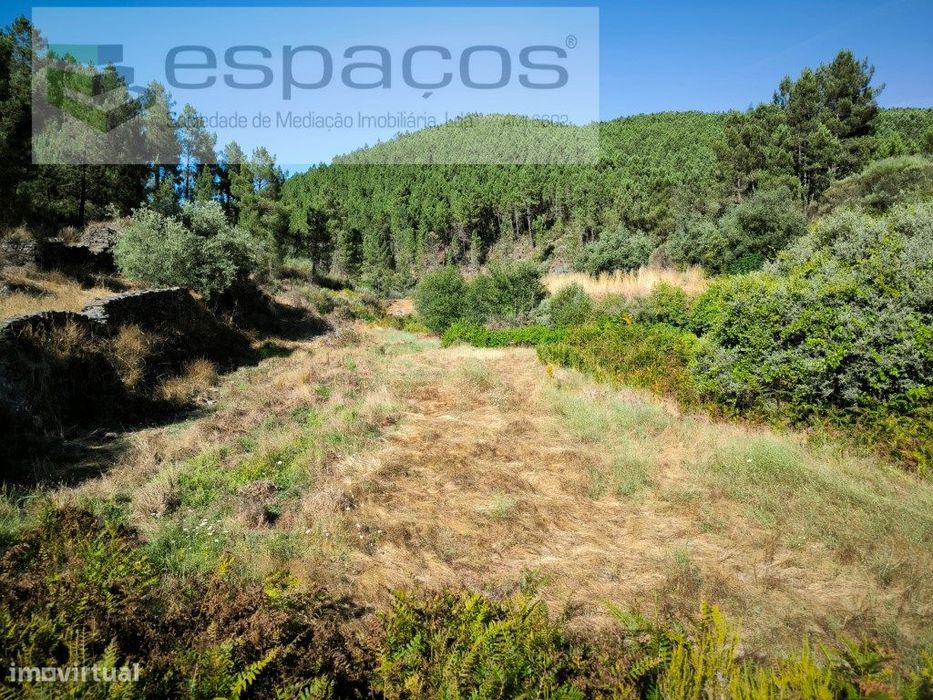 Terreno Agrícola