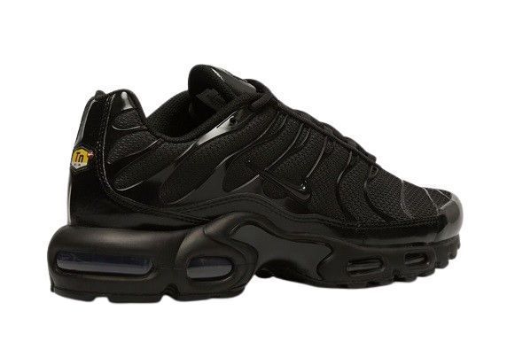 Nike Air Max Plus 41