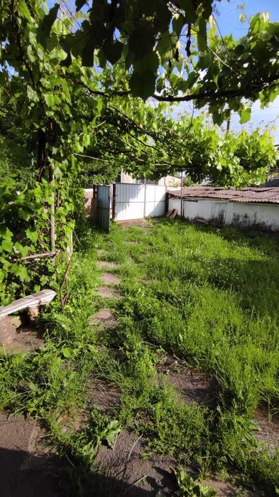 Продам світлий та затишний будинок у селі Мурафа 8808