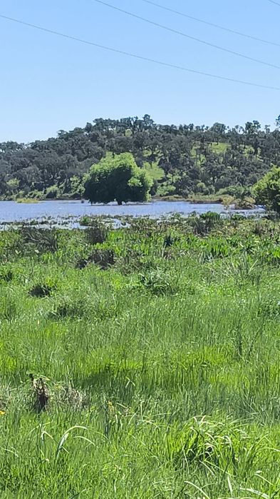 Herdade para venda
