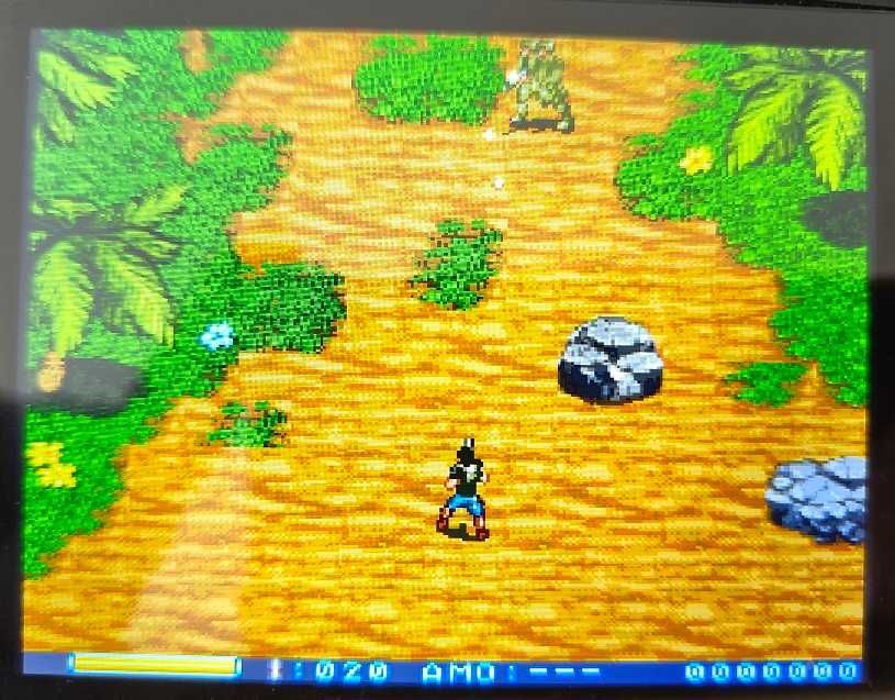 Metal Dragon -  Mega Drive
