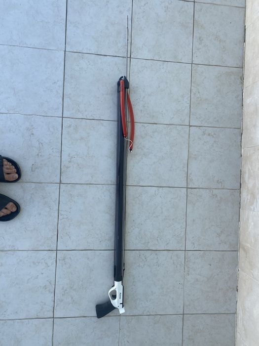 Caça submarina picasso